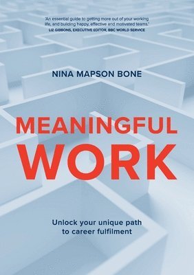 bokomslag Meaningful Work: Unlock your unique path to career fulfilment