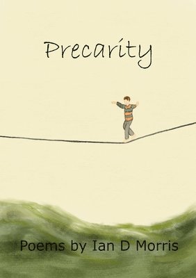 Precarity 1