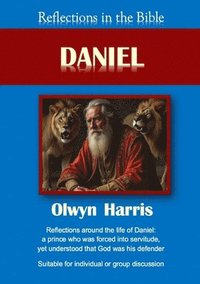 bokomslag Reflections in the Bible Daniel