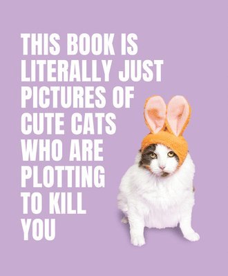 bokomslag This Book is Literally Just Pictures of Cute Cats Who Are Plotting to Kill You