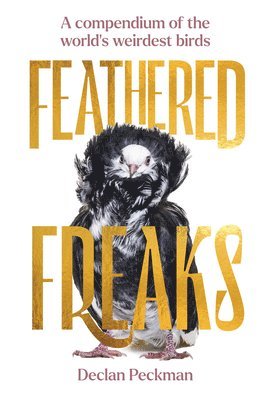 bokomslag Feathered Freaks