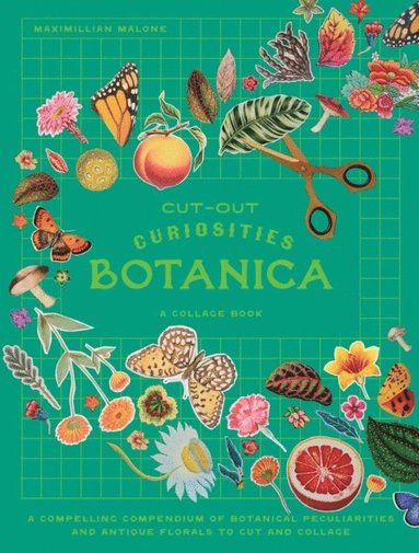 bokomslag Cut-out Curiosities: Botanica