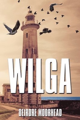 Wilga 1