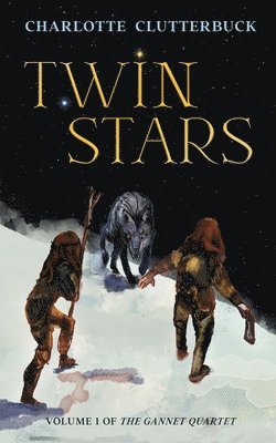 bokomslag Twin Stars