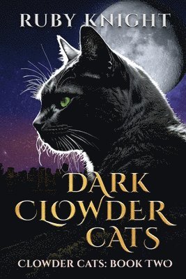 bokomslag Dark Clowder Cats