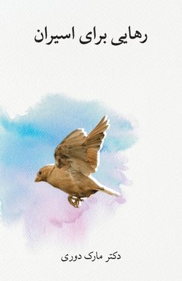 Mark Durie - رهایی برای اسیران (Liberty to the Captives), Häftad