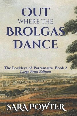 bokomslag Out Where the Brolgas Dance