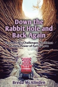 bokomslag Down the Rabbit Hole and Back Again