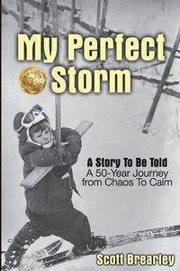 bokomslag My Perfect Storm