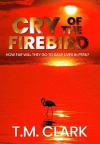 bokomslag Cry of the Firebird