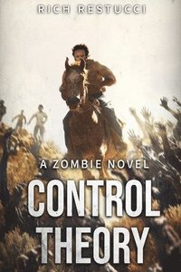bokomslag Control Theory