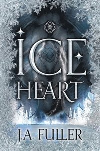 bokomslag Ice Heart