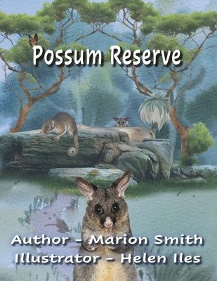 Possum Reserve 1