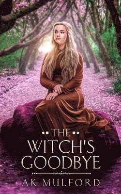 bokomslag Witch's Goodbye