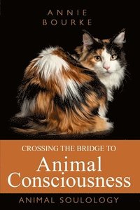 bokomslag Crossing the Bridge to Animal Consciousness: Animal Soulology