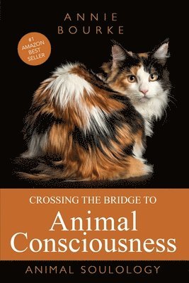Crossing the Bridge to Animal Consciousness