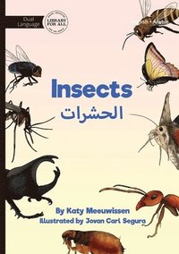 bokomslag Insects - &#1575;&#1604;&#1581;&#1588;&#1585;&#1575;&#1578;