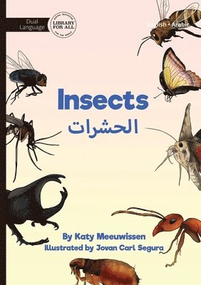 Insects - &#1575;&#1604;&#1581;&#1588;&#1585;&#1575;&#1578; 1