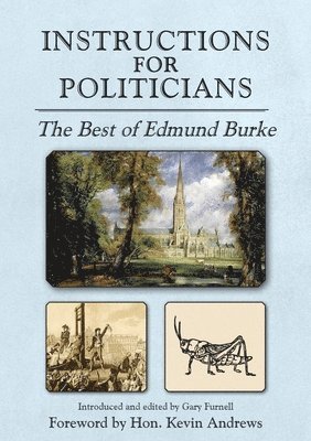 Edmund Burke, Gary Furnell - Instructions for Politicians, Häftad
