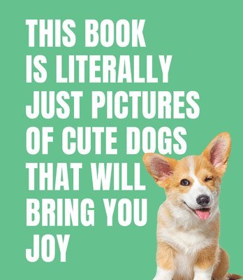 bokomslag This Book is Literally Just Cute Dogs That Will Bring You Joy