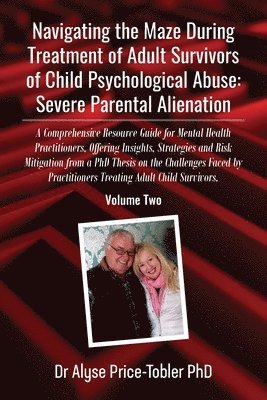 bokomslag Navigating the Maze During Treatment of Adult Survivors of Child Psychological Abuse