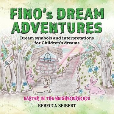 bokomslag Fino Dream Adventures book10