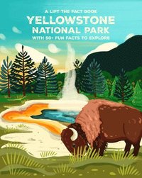 bokomslag Yellowstone National Park