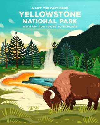 bokomslag Yellowstone National Park