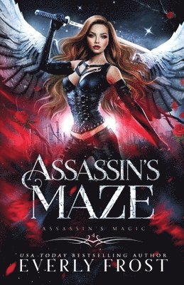 Assassin's Maze 1