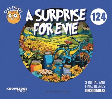 bokomslag A Surprise for Evie: Book 124