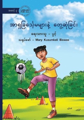 Pwint - Meet The Asian Lionesses - အာရှခြင်္သေ့မများနဲ့ တွေ့ဆုံခြင်း, Häftad