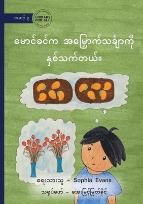 Sophia Evans - Maung Khin Likes to Multiply - မောင်ခင်က အမြှောကသင်္ချာ ကို နှစ်သ&#409, Häftad