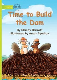 bokomslag Time to Build the Dam