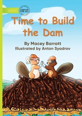 bokomslag Time to Build the Dam