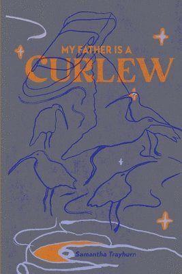 bokomslag My Father is a Curlew