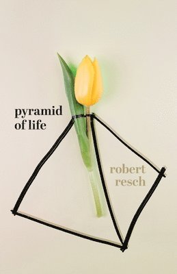 Pyramid of Life 1