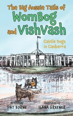Cattle Dogs in Canberra