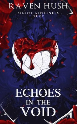 Echoes in the Void