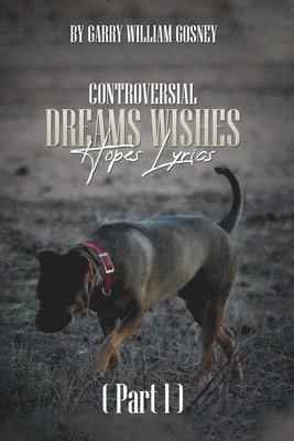 bokomslag CONTROVERSIAL DREAMS WISHES HOPES LYRICS Part 1