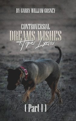 bokomslag CONTROVERSIAL DREAMS WISHES HOPES LYRICS Part 1