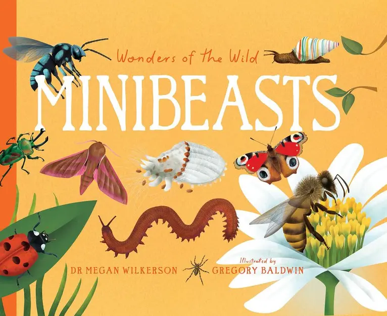 Megan Wilkerson - Wonders of the wild: Minibeasts, Inbunden. Tillgänglighet: Kommande