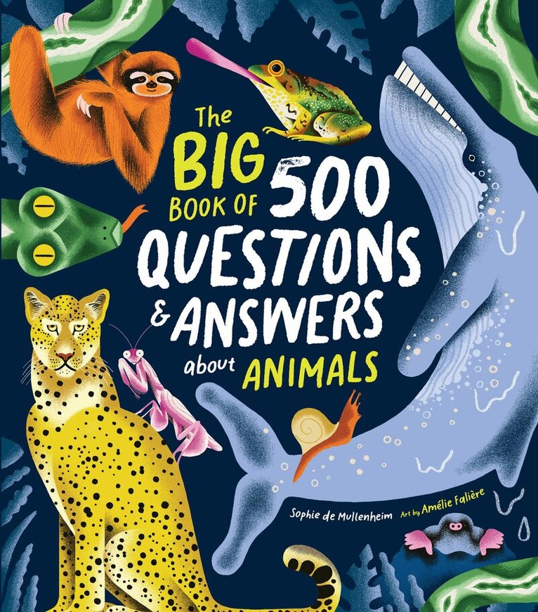 Sophie de Mullenheim - Big Book of 500 Questions and Answers about Animals, Inbunden. Tillgänglighet: Kommande
