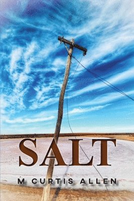 M Curtis Allen - Salt, Häftad
