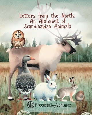 bokomslag Letters from the North