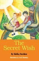 Shelley Davidow - Secret Wish, Häftad