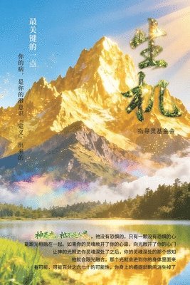 Oriental Holy Light - Vitality, Häftad