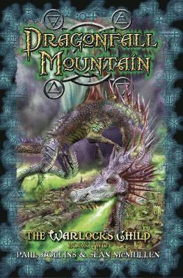 bokomslag Dragonfall Mountain