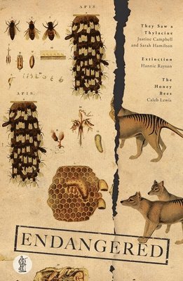Justine Campbell, Sarah Hamilton, Hannie Rayson, Caleb Lewis - Endangered: Three Plays, Häftad