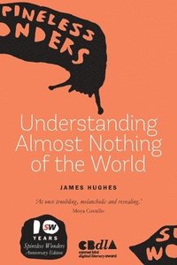 bokomslag Understanding Almost Nothing Of The World