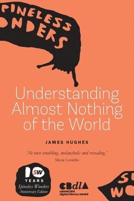 Understanding Almost Nothing Of The World 1
